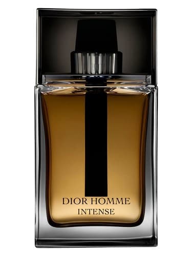 Homme Intense מאת Dior