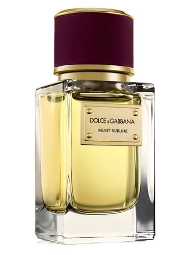 Velvet Sublime מאת Dolce & Gabbana