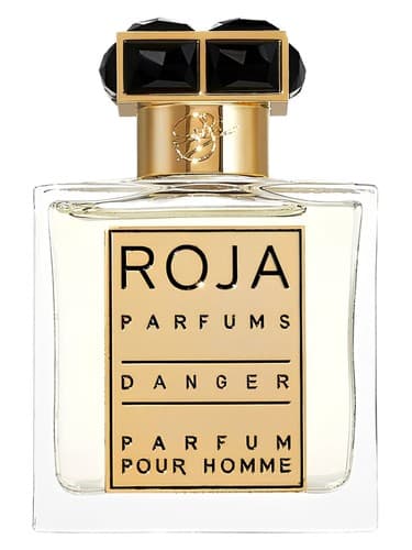 Danger Pour Homme מאת Roja Parfums