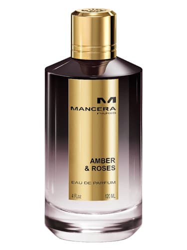 Amber & Roses מאת Mancera
