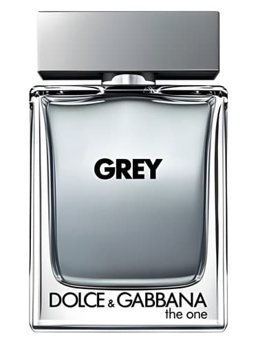 The One Grey מאת Dolce & Gabbana