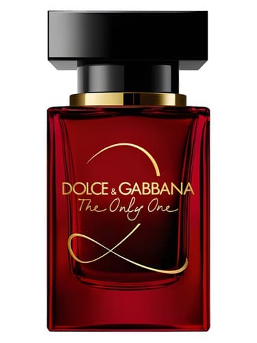 The Only One 2 מאת Dolce & Gabbana