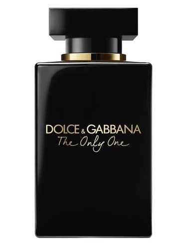 The Only One Intense מאת Dolce & Gabbana