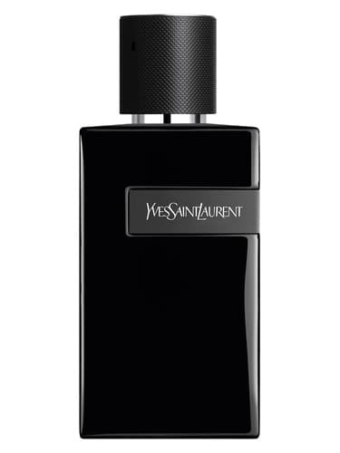 Y Le Parfum מאת Yves Saint Laurent