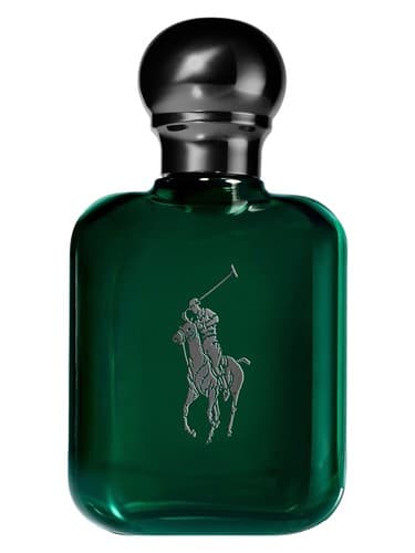 Polo Intense מאת Ralph Lauren