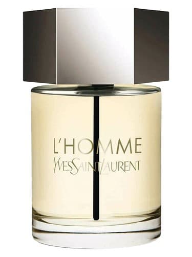 L'Homme YSL מאת Yves Saint Laurent