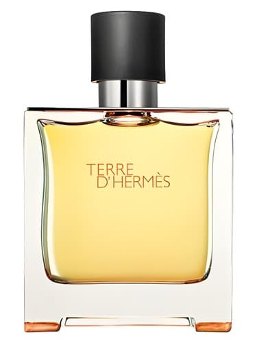 Terre d'Hermès Parfum מאת Hermès